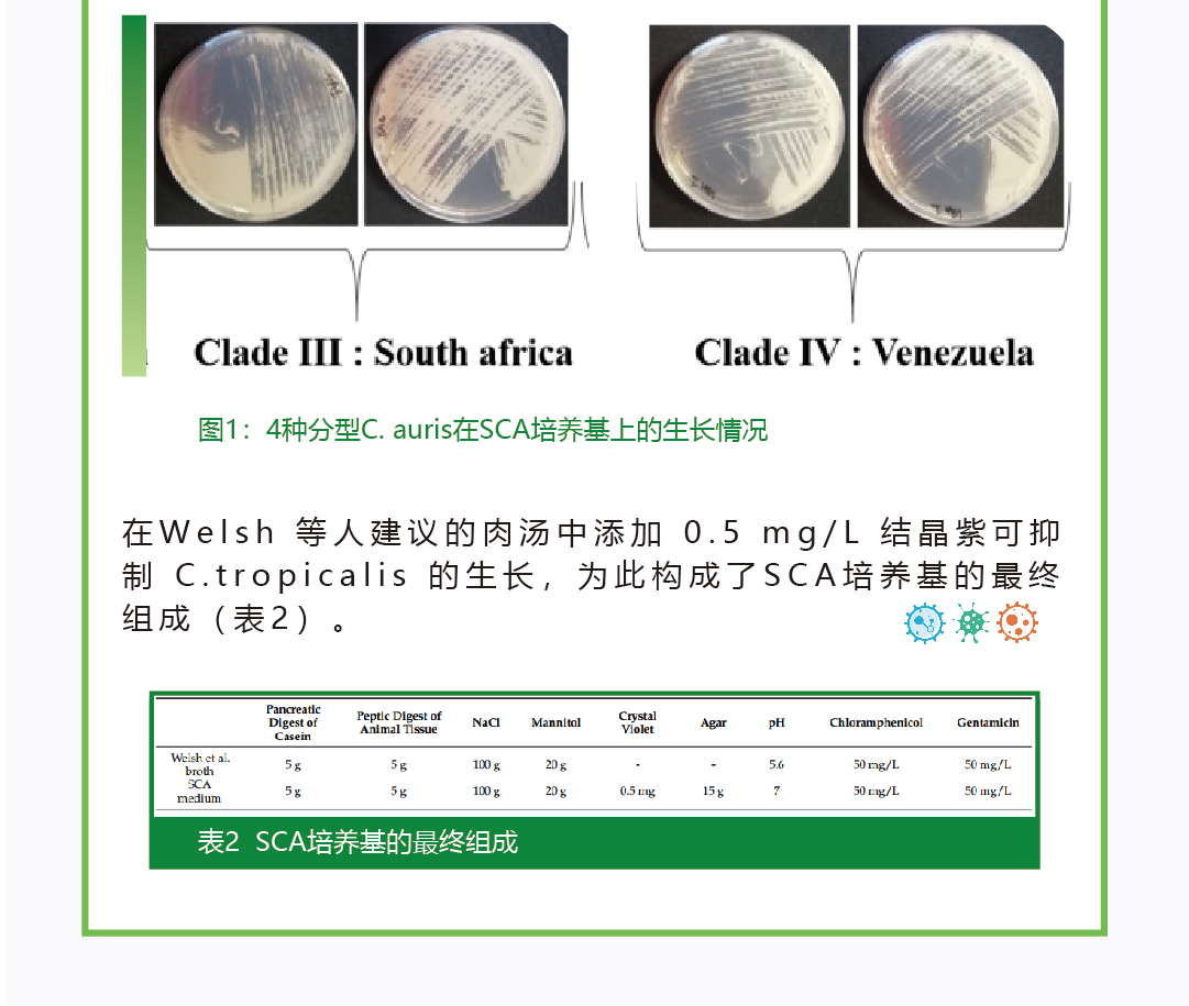 公众号11_02.jpg